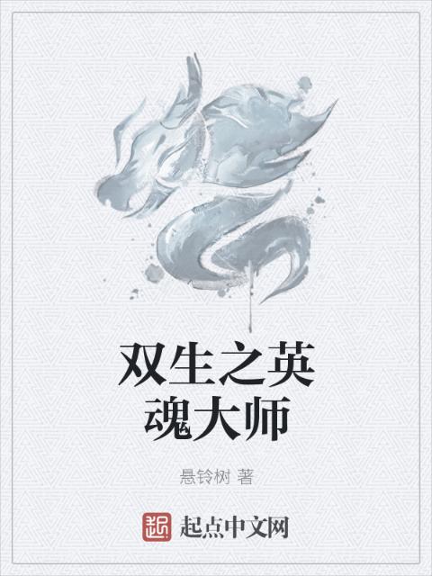 双生之英魂大师