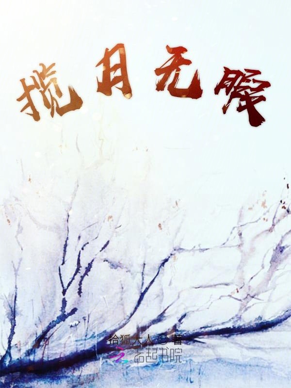 揽月无暇