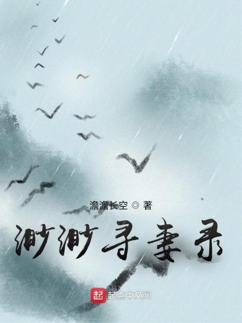 渺渺寻妻录