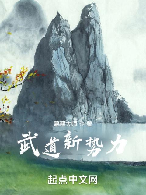 武道新势力