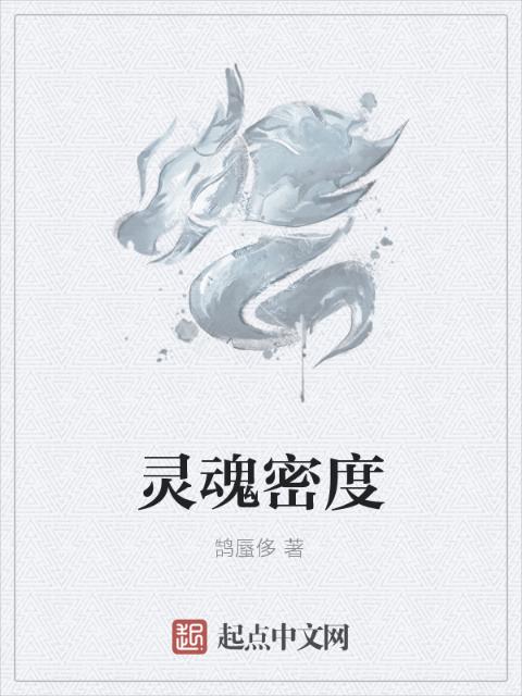 灵魂密度