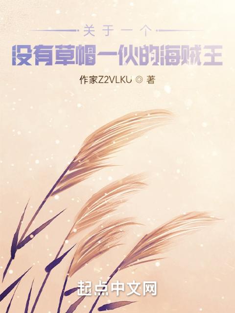 关于一个没有草帽一伙的海贼王