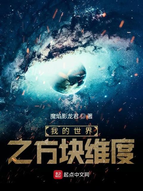 我的世界之方块维度