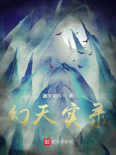 幻天实录