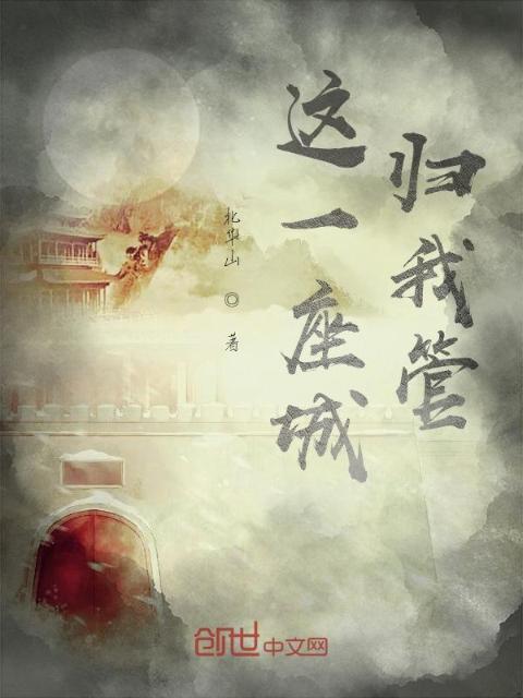 这一座城归我管