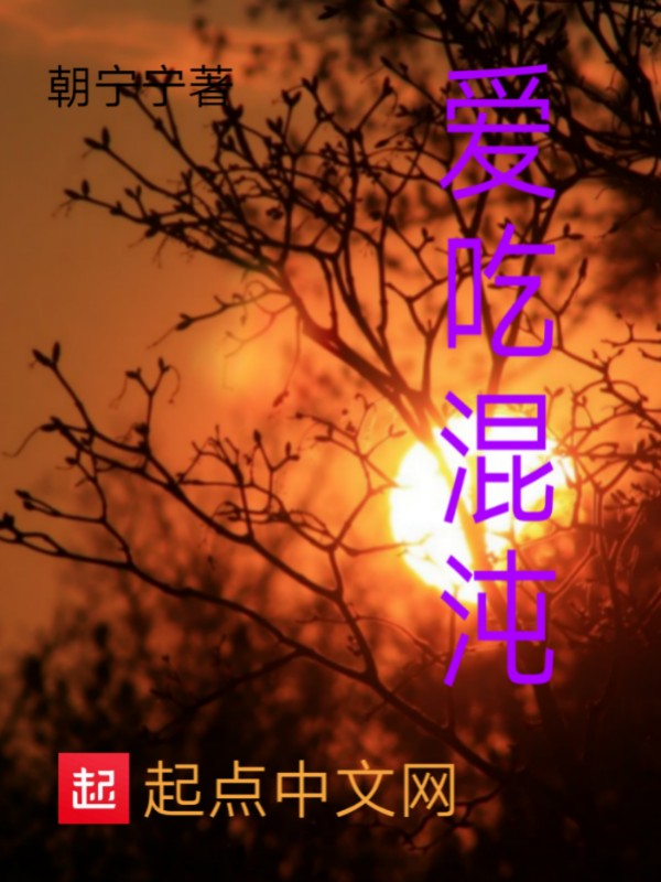 混沌之道阴阳