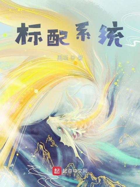 标配系统
