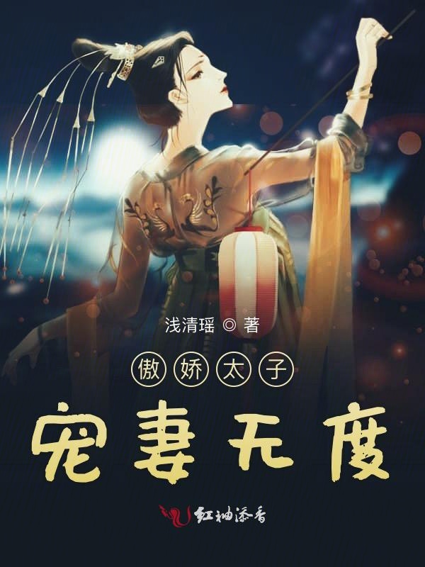 傲娇太子宠妻无度