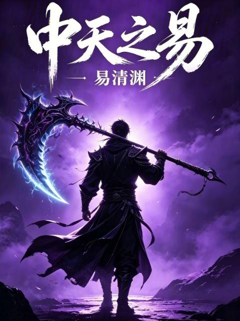 中天之易