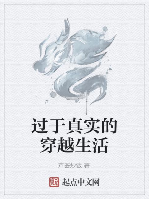 过于真实的穿越生活
