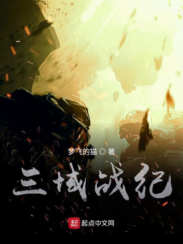 三域战纪