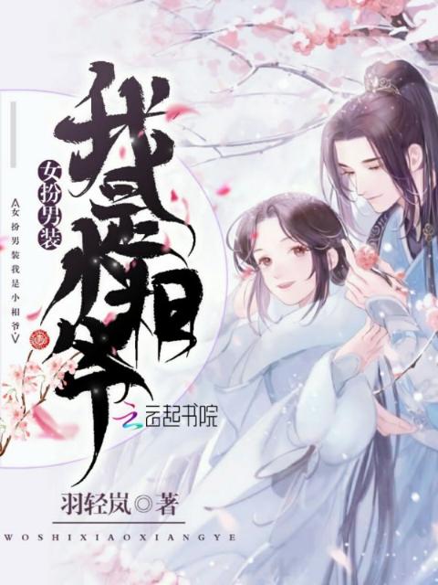 女扮男装我是小相爷