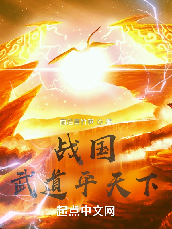 战国武道平天下