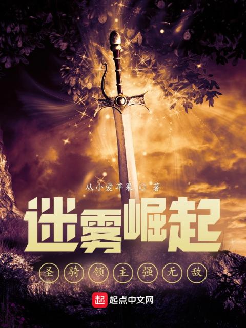 迷雾崛起：圣骑领主强无敌