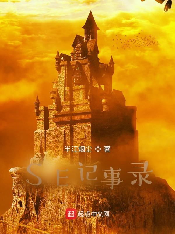 SE记事录