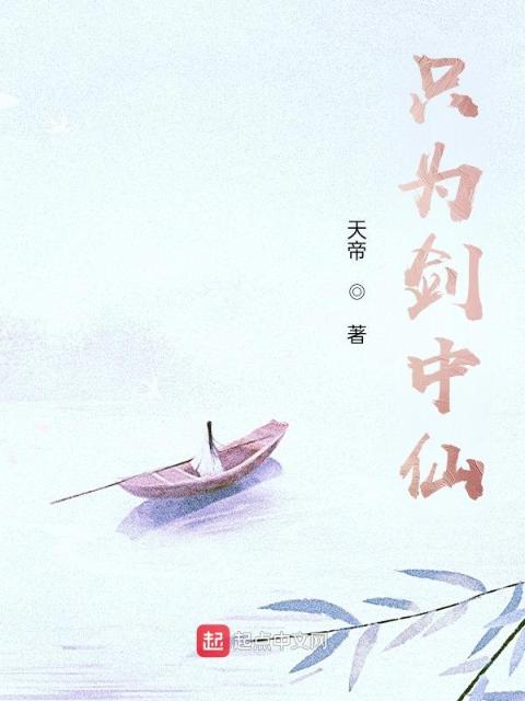 只为剑中仙