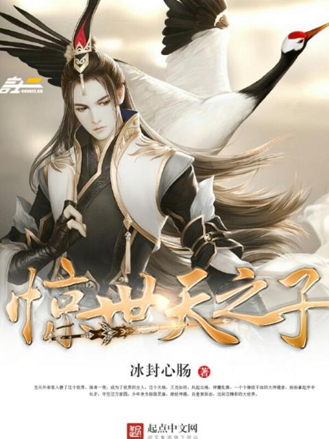夏至小说