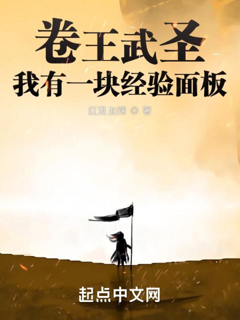 卷王武圣：我有一块经验面板