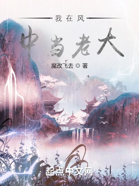 我在风中当老大