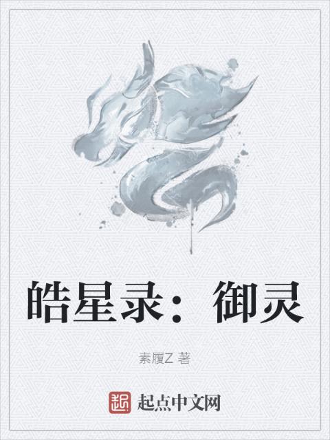 皓星录：御灵
