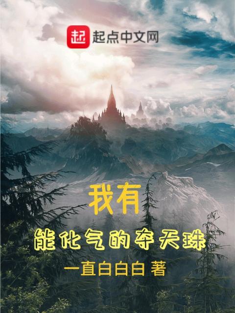 我有能化气的夺天珠