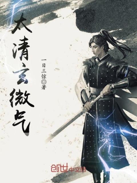 太清玄微气