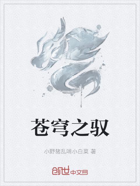 苍穹之驭