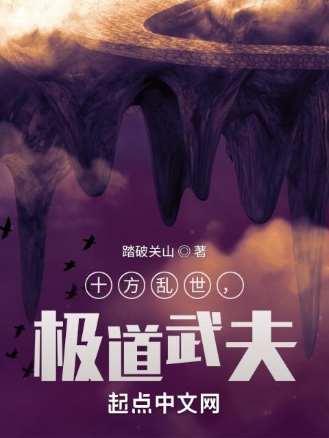 十方乱世，极道武夫