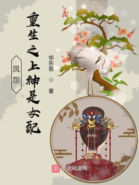 凤怨：重生之上神是女配