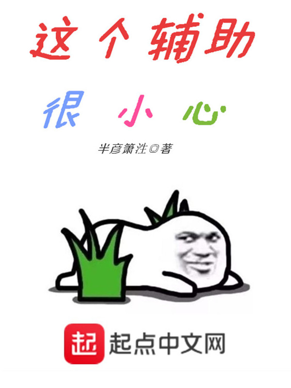 这个辅助很小心