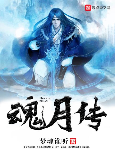 魂月传