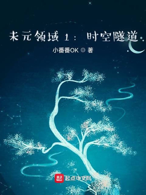 未元领域1：时空隧道