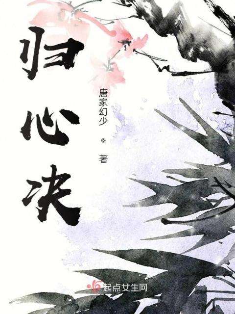 归心决