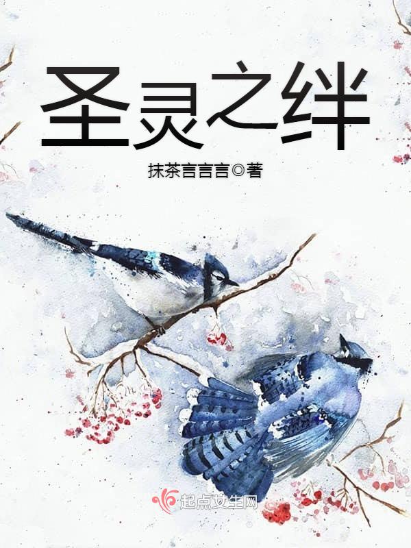 圣灵之绊