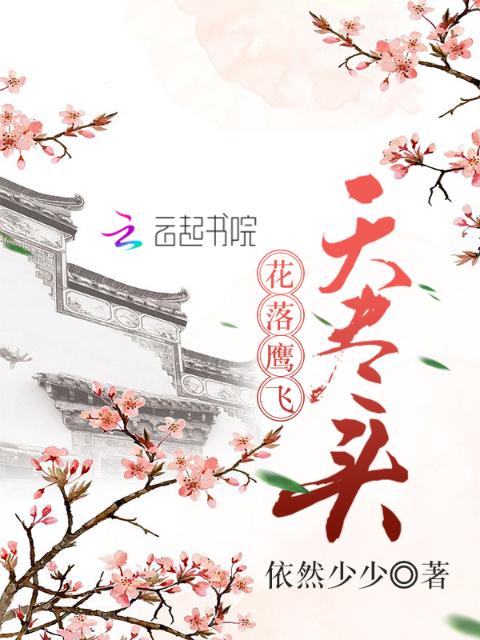 花落鹰飞天尽头