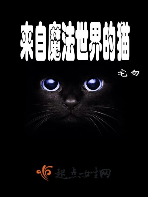 来自魔法世界的猫