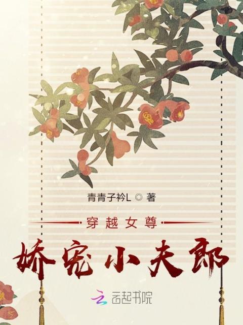 穿越女尊：娇宠小夫郎