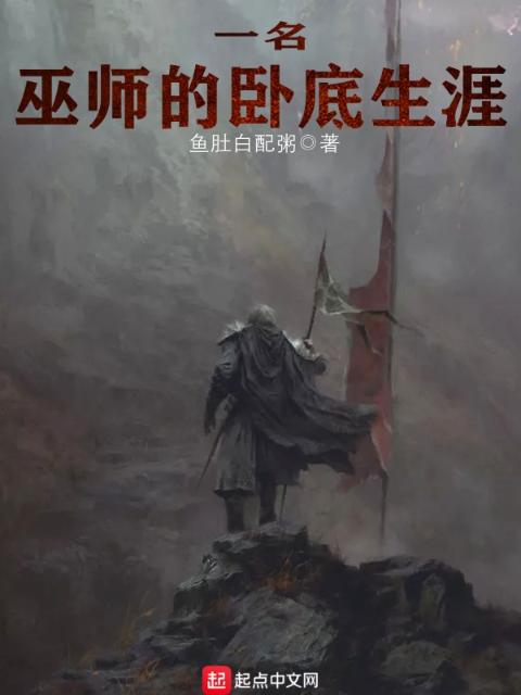 一名巫师的卧底生涯