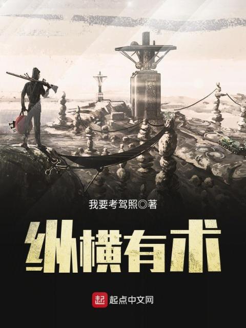 纵横有术