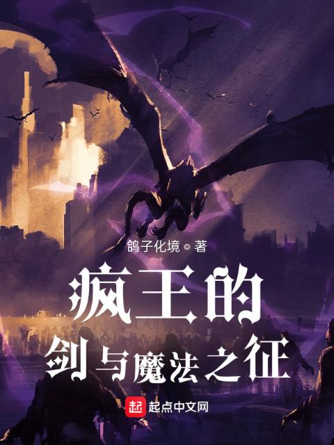 疯王的剑与魔法之征
