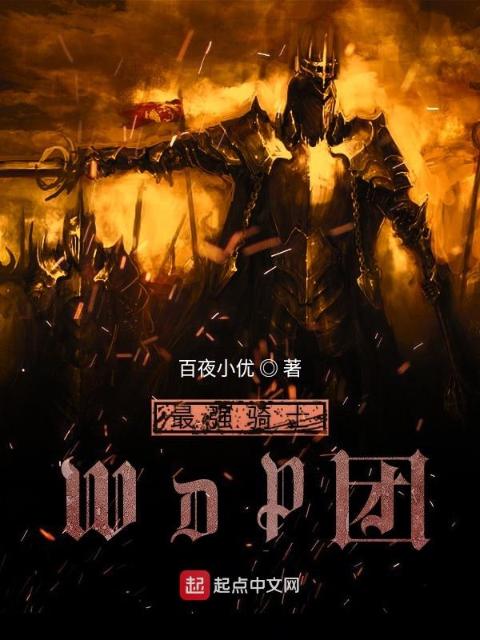最强骑士WDP团
