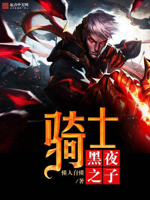 骑士，黑夜之子