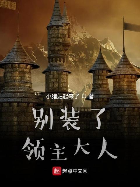 别装了，领主大人