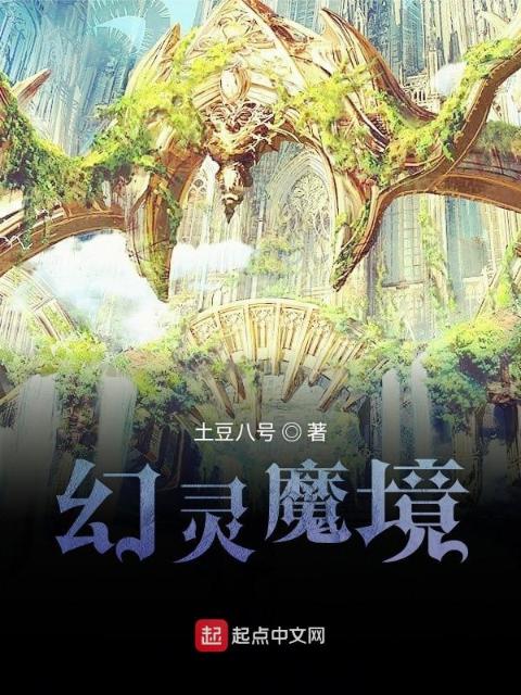 幻灵魔境