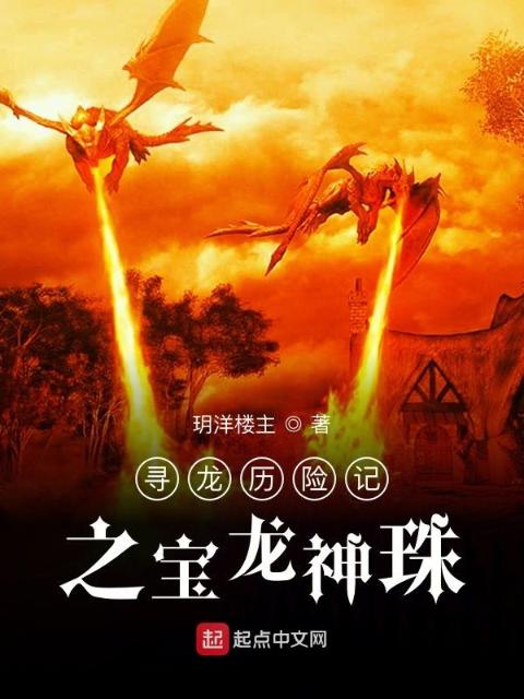 寻龙历险记之宝龙神珠