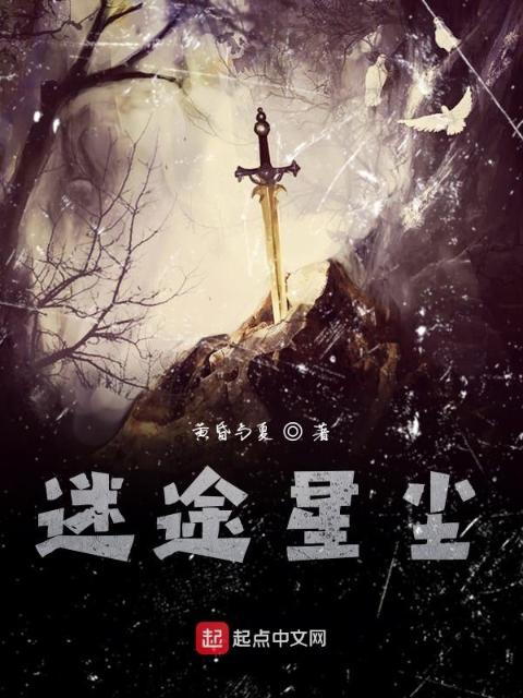 迷途星尘