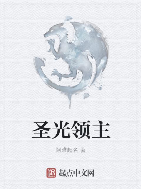 圣光领主