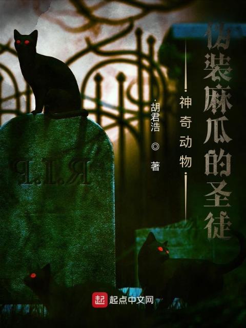 神奇动物：伪装麻瓜的圣徒