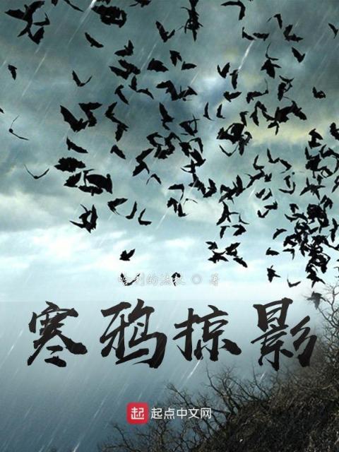 寒鸦掠影