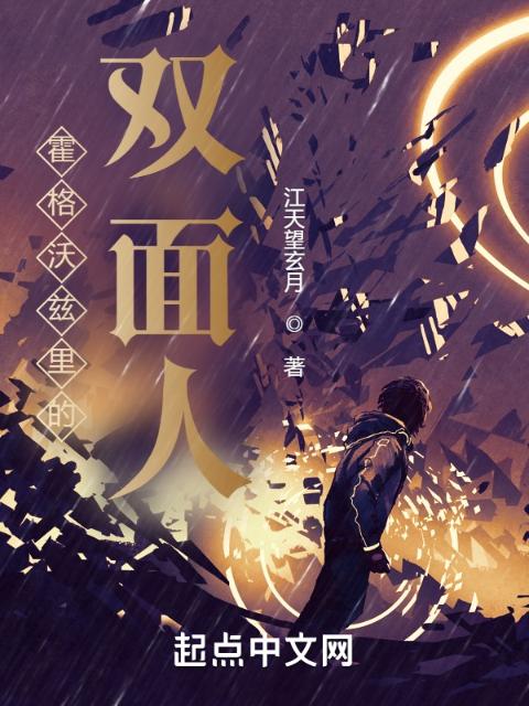 霍格沃兹里的双面人
